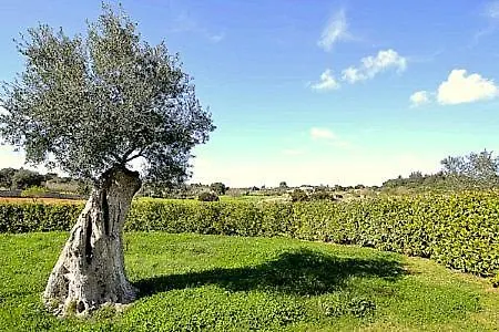 Casa vacanze Sleeps 6 Pool